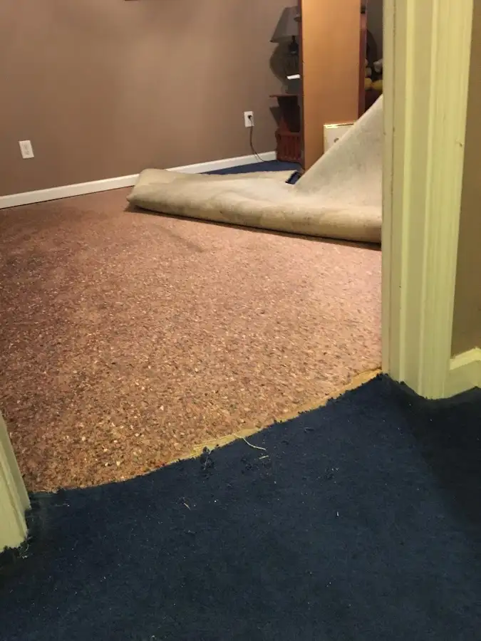 Carpet pad removal revealing water damage during Drying & Dehumidification in St. Robert